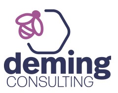 deming consulting