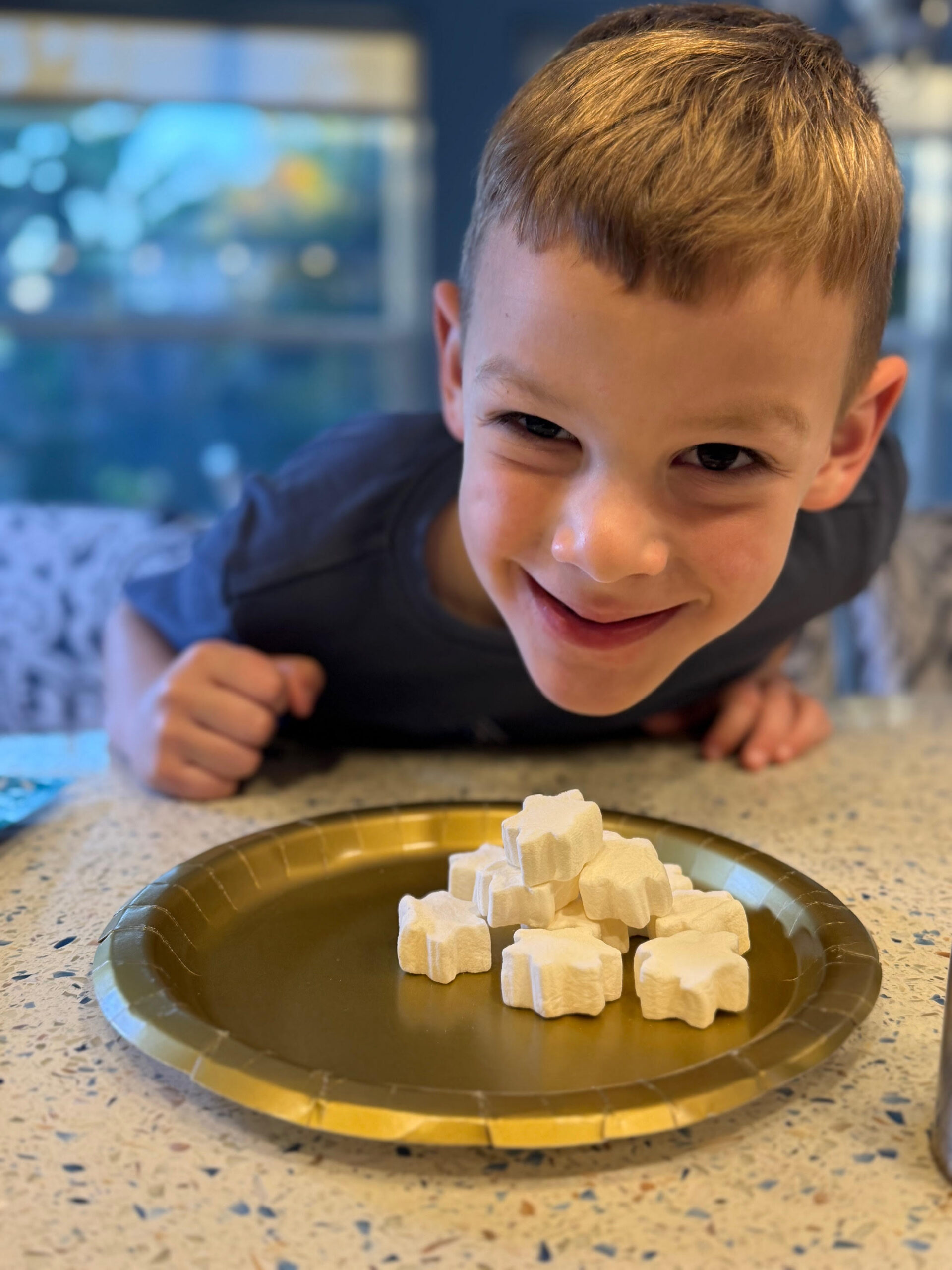 Attack of the Giant Marshmallow - Sarasota Children's Museum