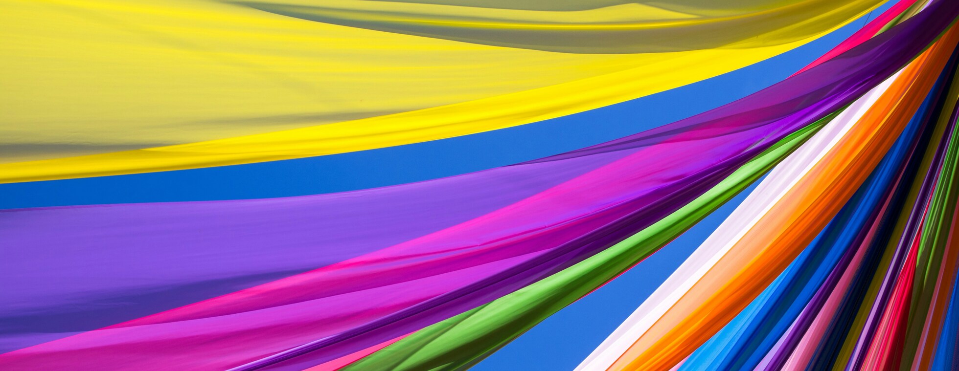 color carnival sarasota art center